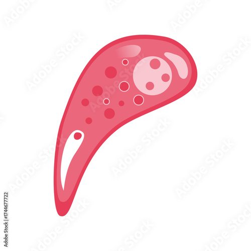 Toxoplasmosis Vector Illustration. Vector illustration depicting human immune cells, including macrophages and mast cells, showcasing the biology of the immune system and monocyte types in immunology