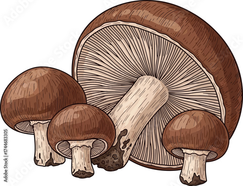 mushrooms on a wooden table
