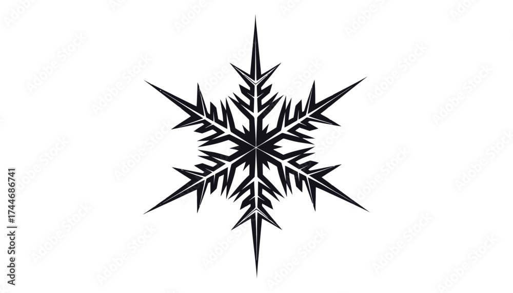 Fototapeta premium A black and white snowflake with sharp edges