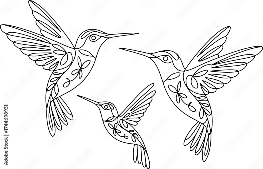 Fototapeta premium Three delicate hummingbirds in flight artistic sketch nature wildlife fauna