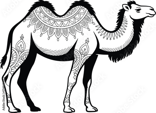 Detailed black and white line art drawing of a camel standing profile view