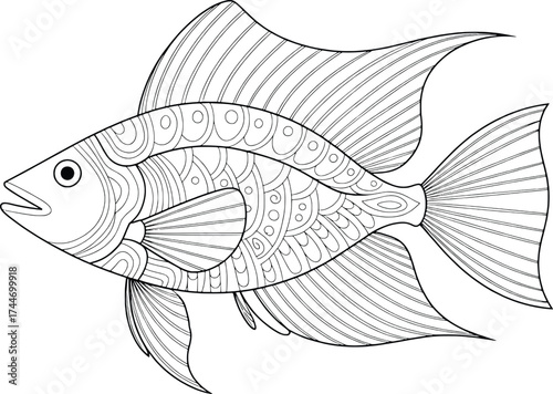 Detailed outline drawing of a single freshwater aquarium fish side view