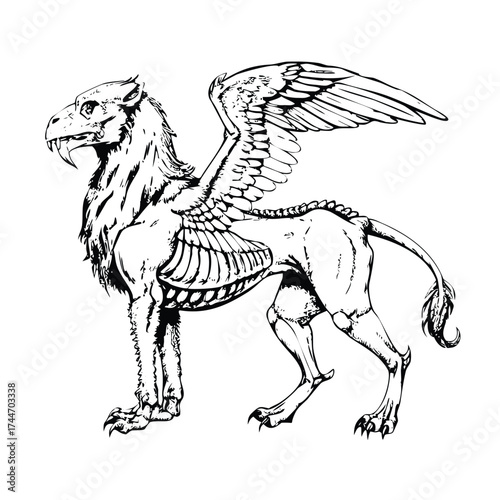 Technical Engraving of a Griffin: Hybrid Eagle-Lion Anatomy