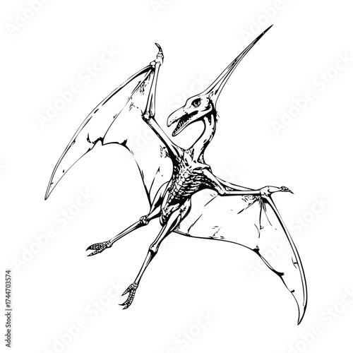 Monochrome Flying Reptile Anatomy with Skeletal Cutaway