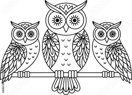 Three detailed owl family silhouettes perched on a branch artistic line drawing