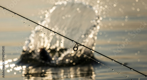 Fishing line with water droplets in focus with an out of focus fish jumping from lake water