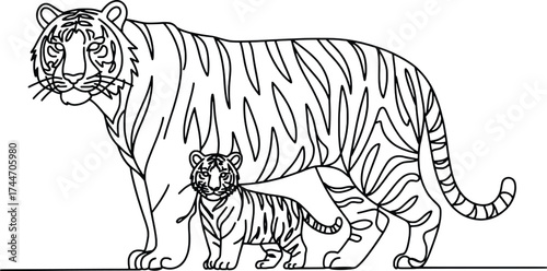 Mother tiger and cub outline drawing majestic big cats family wildlife art