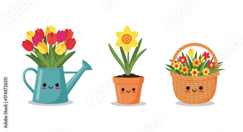 A charming collection of adorable springtime flowers presented in a watering can a pot and a basket.