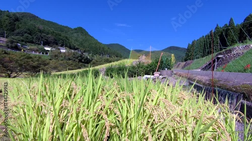 秋の田園