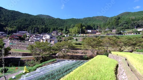 秋の田園