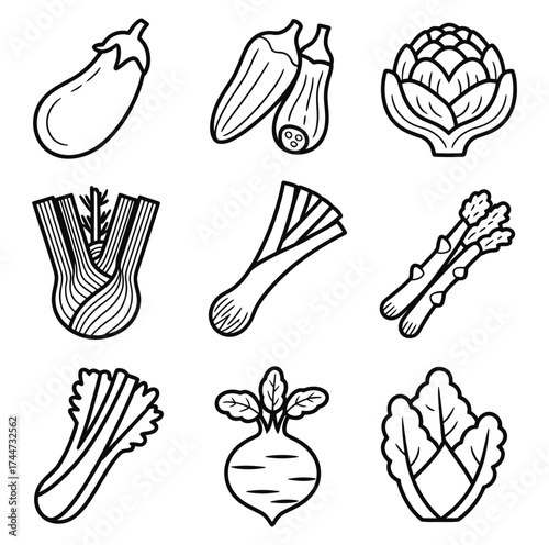 Various fresh vegetables depicted in simple line art