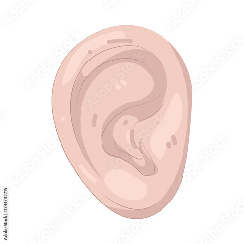 Illustration of Human Ear Organ