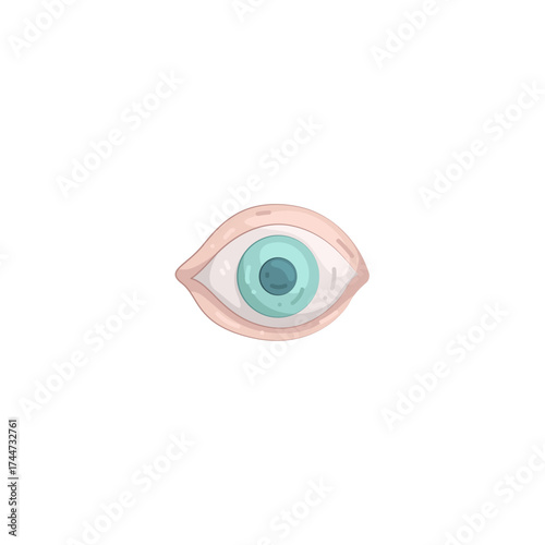 Illustration of Human Eye Organ