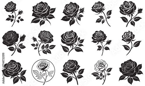 Roses Vector Set – Black Floral Silhouette Illustrations