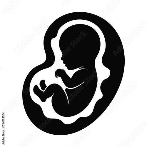 Silhouette of a fetus developing inside the womb