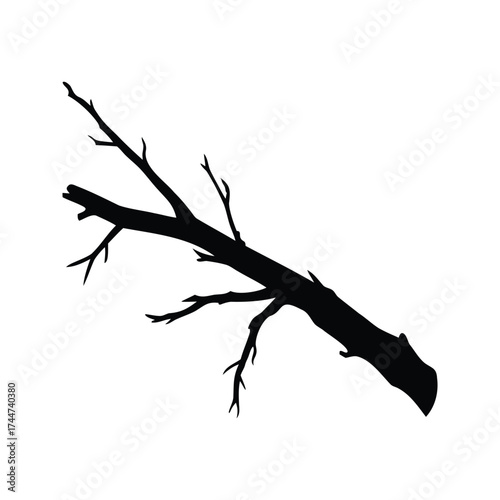 Monochrome silhouette of a fallen tree branch with twigs against white backdrop, dead birch branch silhouette vector illustration