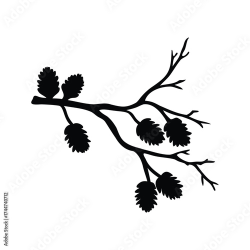Black silhouette of tree branch with cones isolated on white background, dead branch with pinecones silhouette vector illustration
