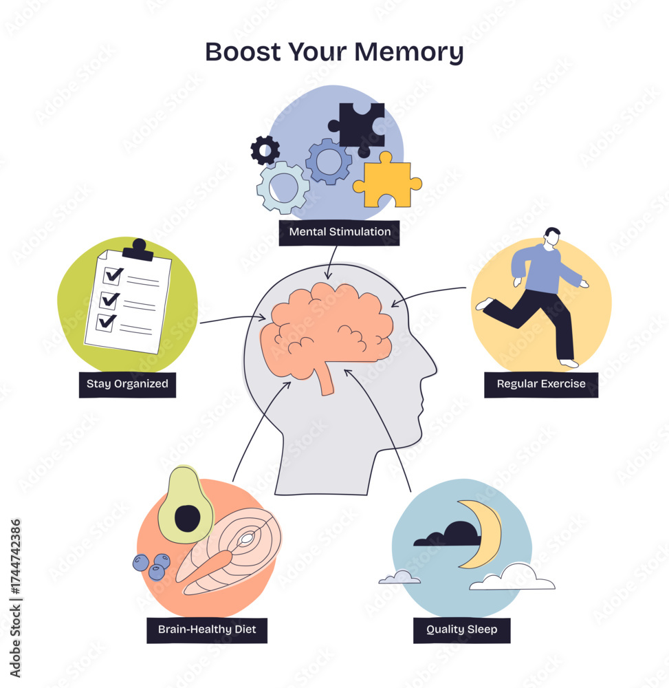 Fototapeta premium Boost Your Memory shows a brain, checklist, runner, healthy food, and sleep icons, illustrating key habits for memory improvement, transparent background. Doodle style diagram