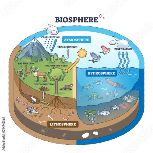 Biosphere diagram shows interactions between atmosphere, hydrosphere, and lithosphere with plants, animals, and water cycle, transparent background.