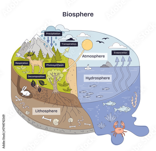 Biosphere diagram shows interactions between atmosphere, hydrosphere, and lithosphere with animals, plants, and water, transparent background. Doodle style diagram