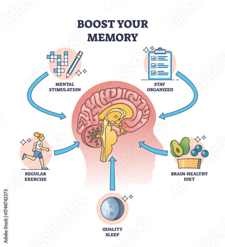 Boost your memory shows a brain with icons for mental stimulation, organization, exercise, diet, and sleep, transparent background.