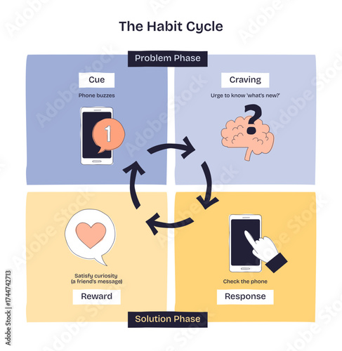 The Habit Cycle diagram shows the cue, craving, response, and reward stages using phone, brain, and hand icons, transparent background. Doodle style diagram
