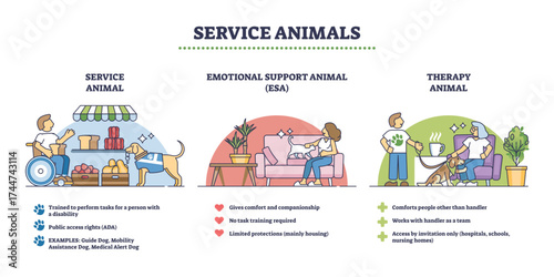 Service animals overview shows service animal, emotional support animal, and therapy animal with icons and brief roles, transparent background.