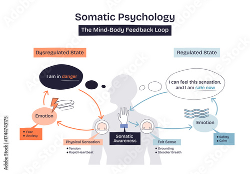 Somatic psychology mind-body feedback loop shows transition from dysregulated to regulated state using human silhouette, arrows, and emotion bubbles, transparent background. Doodle style diagram