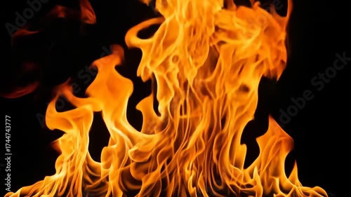 Intense flames burning against a black background, showcasing the power, heat, and vibrant colors of fire in a dynamic and mesmerizing display