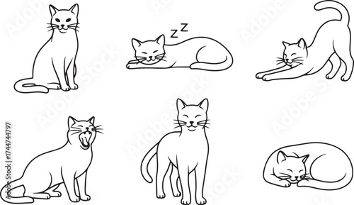 Abstract Cat Icons – Calm and Moody Animal Line Art Set