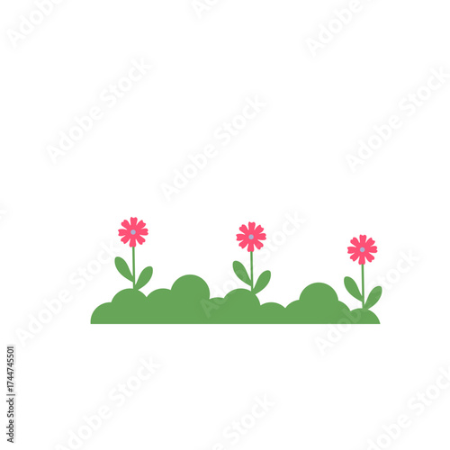 Nature Grass Decoration