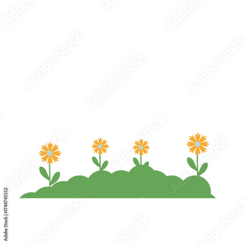 Nature Grass Decoration