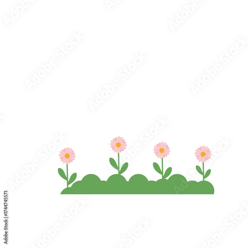 Nature Grass Decoration
