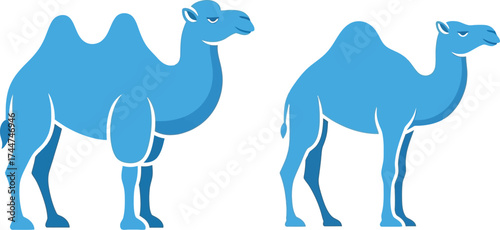 Blue camel vector illustration desert animal drawing art
