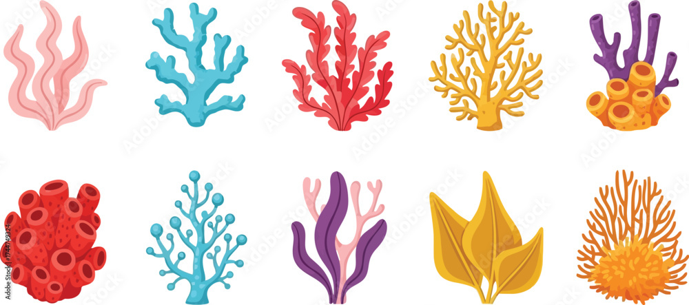 Fototapeta premium Colorful coral reef vector illustration sea underwater life