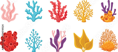 Colorful coral reef vector illustration sea underwater life