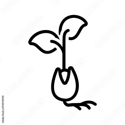 Vector black line icon for Sprout