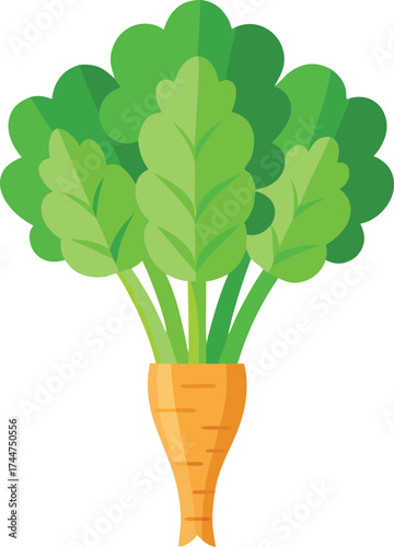 Detailed vector illustration of fresh green vegetables bundle scalable graphic