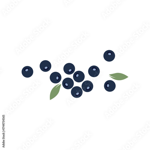 Blueberry logo simple vector