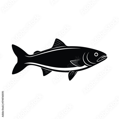Salmon on White Background