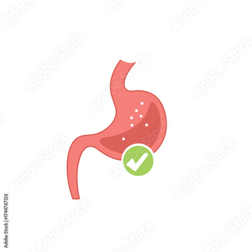 Stomach in good condition.good stomach health.digestive system is ok. Tick. Approved.Healthy stomach. Good digestion icon or improve digestive tract system symbol. gut or stomach care vector.

