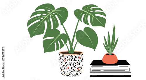 A monstera plant and an aloe vera plant sit on a shelf with books.