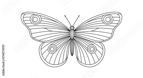 A detailed outline drawing of a butterfly with intricate patterns on its wings.