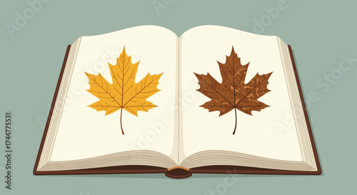 An open book displaying two maple leaves one yellow and one brown.
