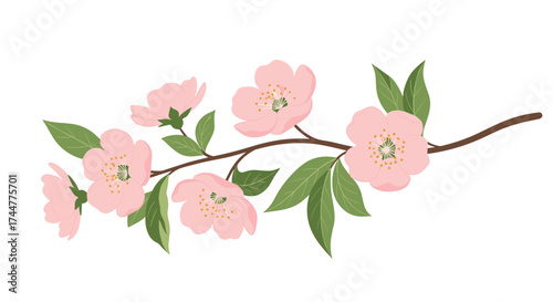 A beautiful branch with pink flowers and green leaves.
