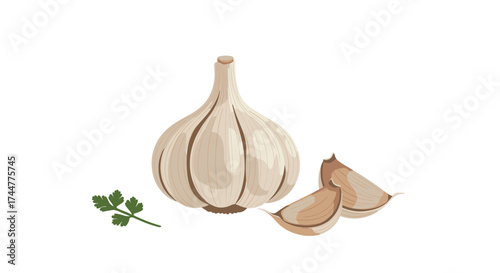 A whole garlic bulb with cloves and parsley.