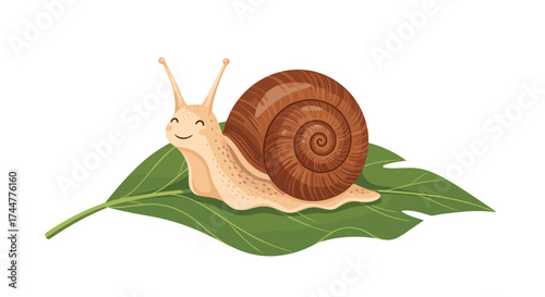 A happy snail slowly crawls across a large green leaf.