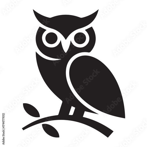 owl on a branch