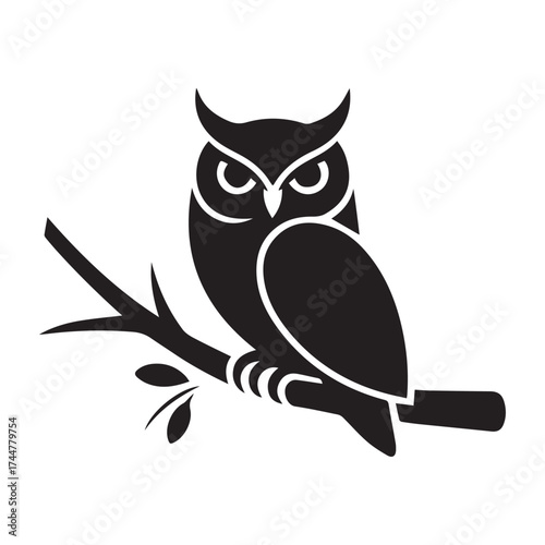 black and white owl
