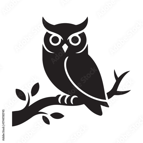 owl on branch